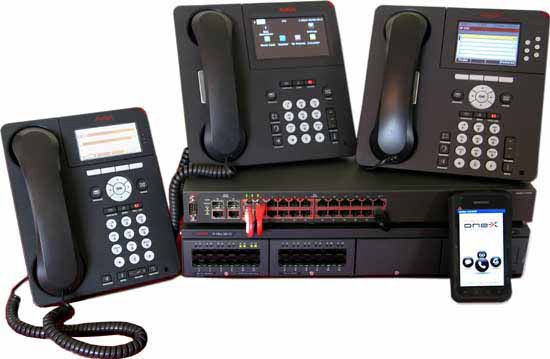 Avaya IP Office & Avaya Networking